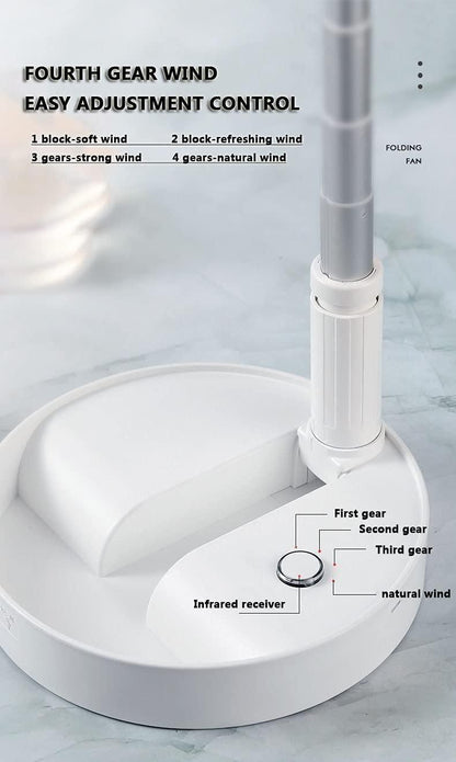 Fashionable Fans & Cooling